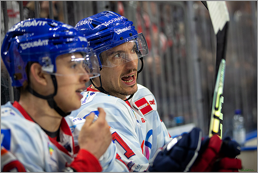PENNY DEL; Koelner Haie-Adler Mannheim; Koeln, 21.03.2023